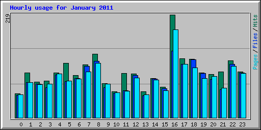 Hourly usage for January 2011