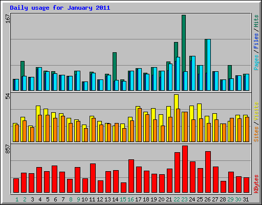 Daily usage for January 2011