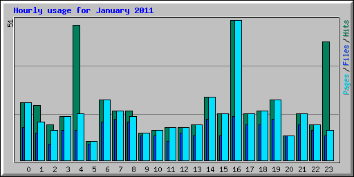 Hourly usage for January 2011