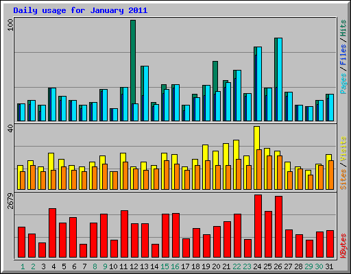 Daily usage for January 2011