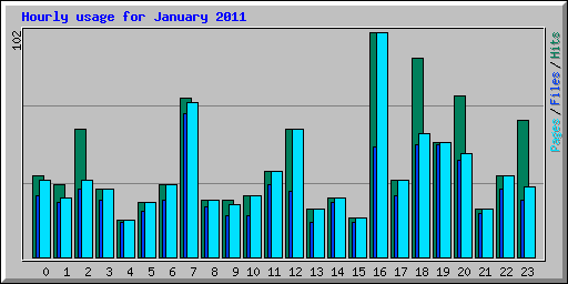 Hourly usage for January 2011