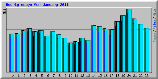 Hourly usage for January 2011