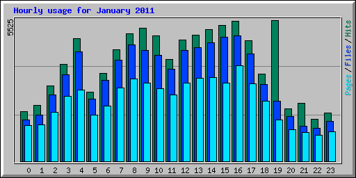 Hourly usage for January 2011