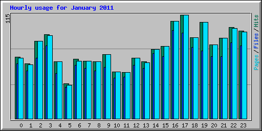 Hourly usage for January 2011