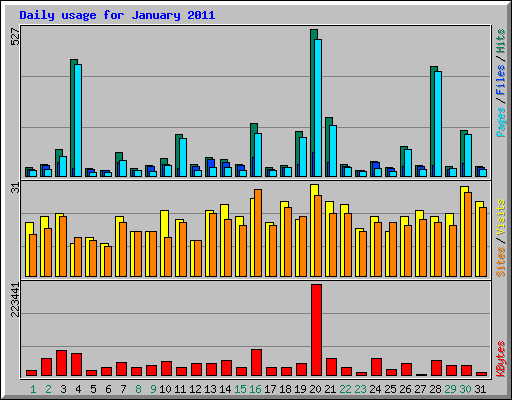 Daily usage for January 2011