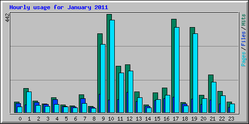 Hourly usage for January 2011