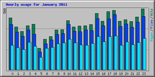Hourly usage for January 2011
