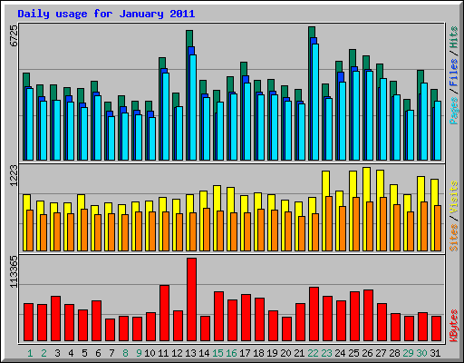 Daily usage for January 2011