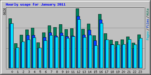 Hourly usage for January 2011