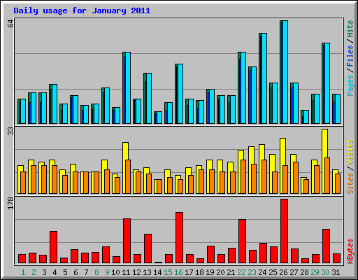 Daily usage for January 2011