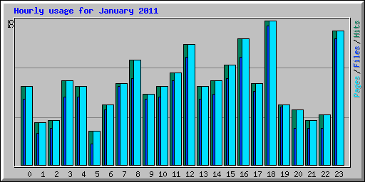 Hourly usage for January 2011