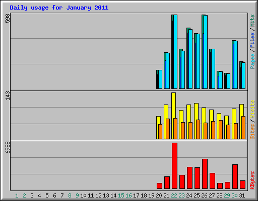 Daily usage for January 2011
