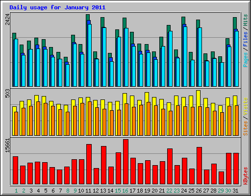 Daily usage for January 2011