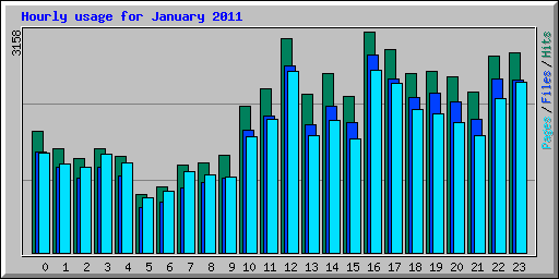 Hourly usage for January 2011