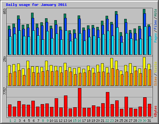 Daily usage for January 2011