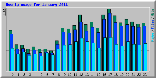 Hourly usage for January 2011