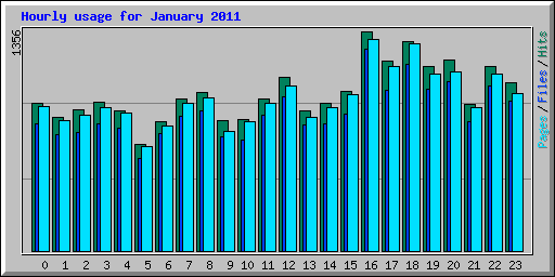 Hourly usage for January 2011
