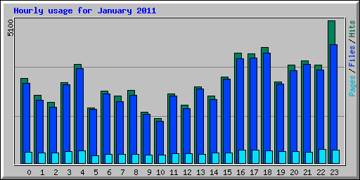 Hourly usage for January 2011