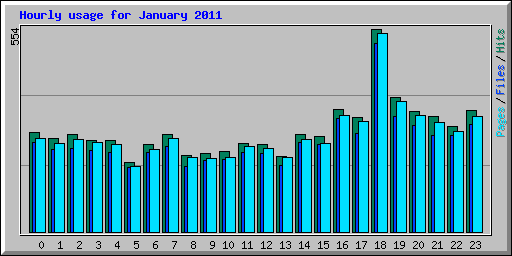 Hourly usage for January 2011