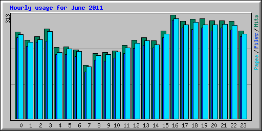 Hourly usage for June 2011