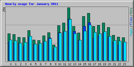 Hourly usage for January 2011