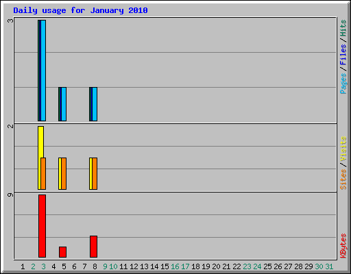 Daily usage for January 2010
