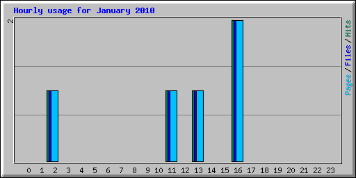 Hourly usage for January 2010