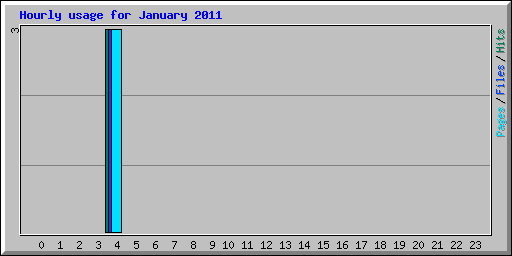 Hourly usage for January 2011