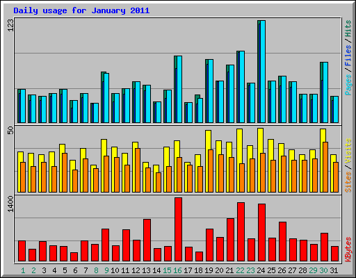 Daily usage for January 2011