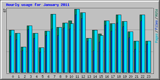 Hourly usage for January 2011