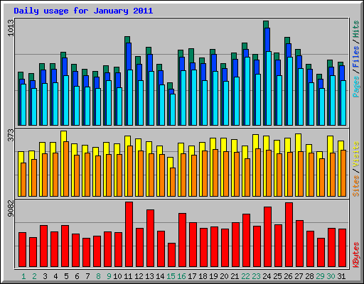 Daily usage for January 2011