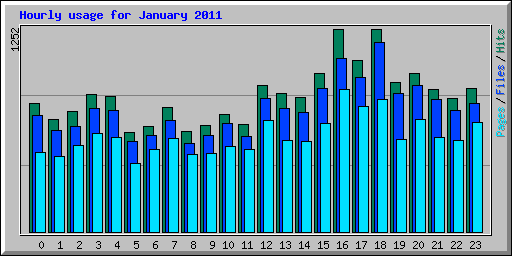 Hourly usage for January 2011