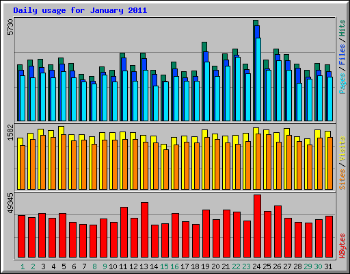 Daily usage for January 2011