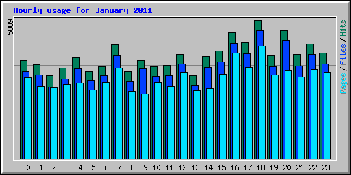 Hourly usage for January 2011