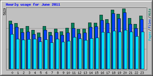 Hourly usage for June 2011