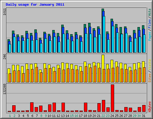 Daily usage for January 2011