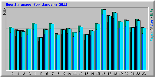 Hourly usage for January 2011