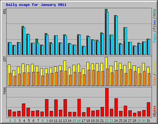 Daily usage for January 2011