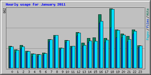 Hourly usage for January 2011