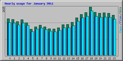 Hourly usage for January 2011