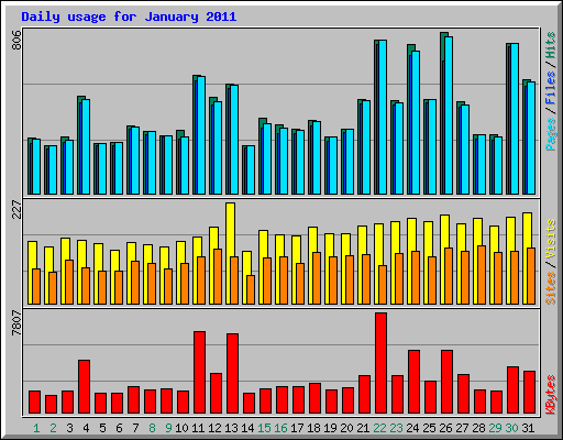 Daily usage for January 2011