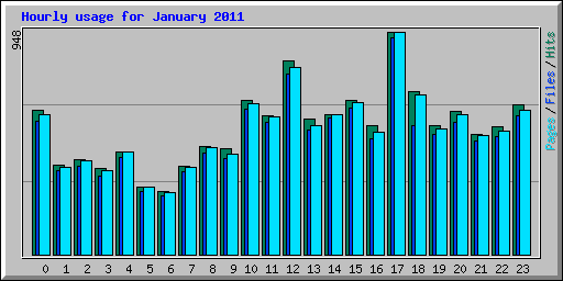 Hourly usage for January 2011