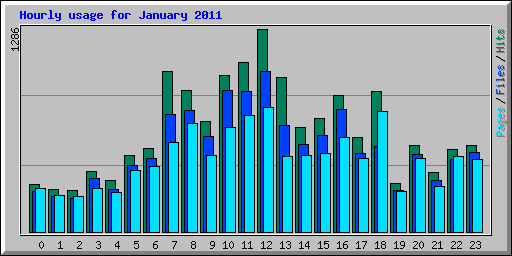 Hourly usage for January 2011