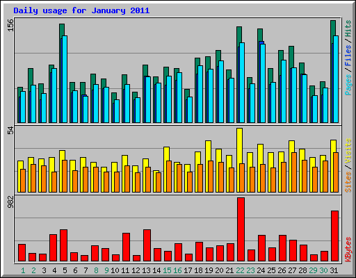 Daily usage for January 2011