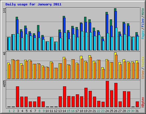 Daily usage for January 2011