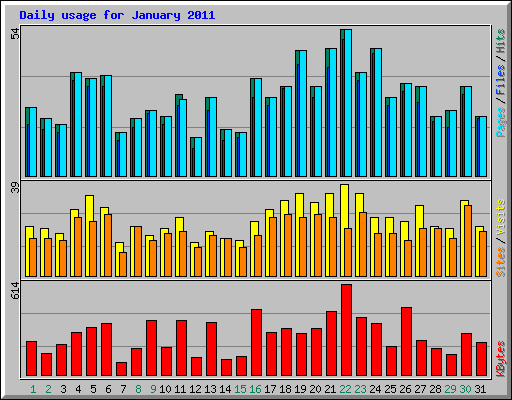 Daily usage for January 2011