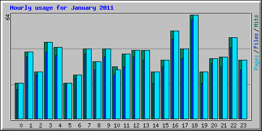 Hourly usage for January 2011