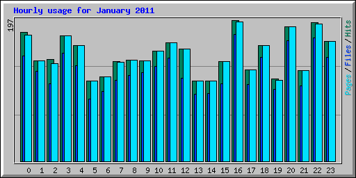 Hourly usage for January 2011