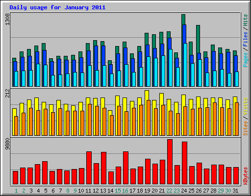 Daily usage for January 2011