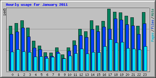 Hourly usage for January 2011